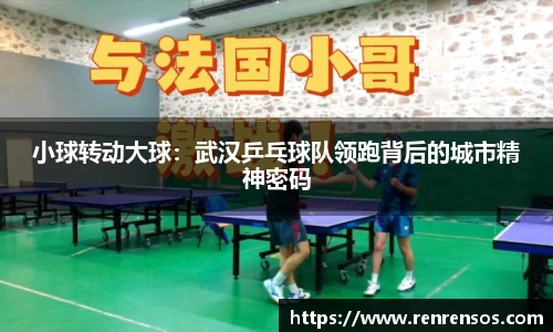 qy球友会体育